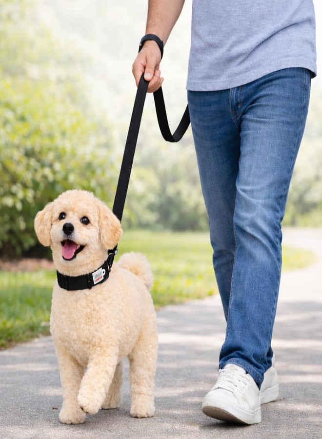 Zigly Lifestyle Classic Dog Leash-Large-Black | Long Padded Leash for Large Dogs | Comfortable Strong Leash for Pets - Image 4